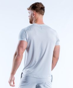 Alternative view of Charge Active Top